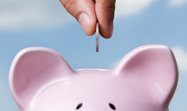 Piggy Bank, Money Savings